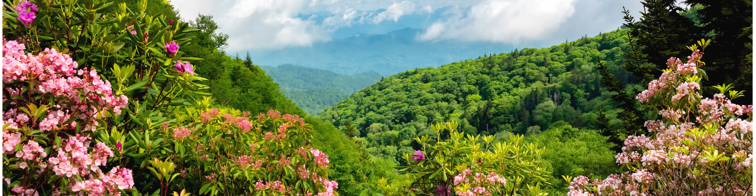 A lush green hillside with a variety of flowers, including pink and white ones. AI generated content