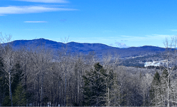 A forest with a mountain range in the background. AI generated content