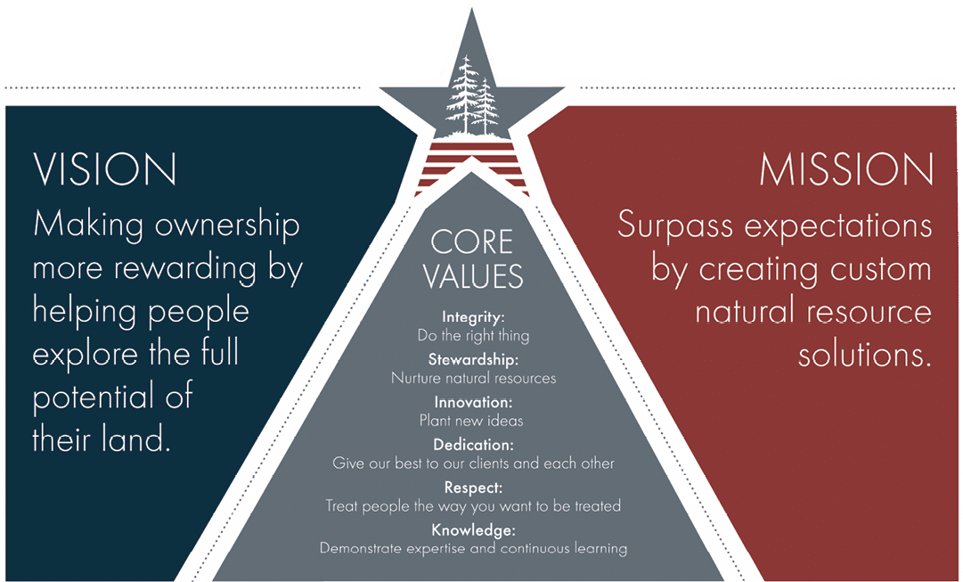 A poster for American Forest Management with a triangular structure and the words “We're in this together" written at the top. The poster has three sections, each with a different color and a different message. The first section is blue and says "Vision", the second section is red and says "Mission", and the third section is gray and says "Together". AI generated content