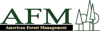 WMF